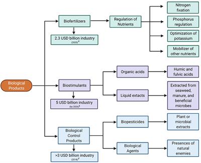 Bioprospecting Trichoderma: A Systematic Roadmap to Screen Genomes and Natural Products for Biocontrol Applications